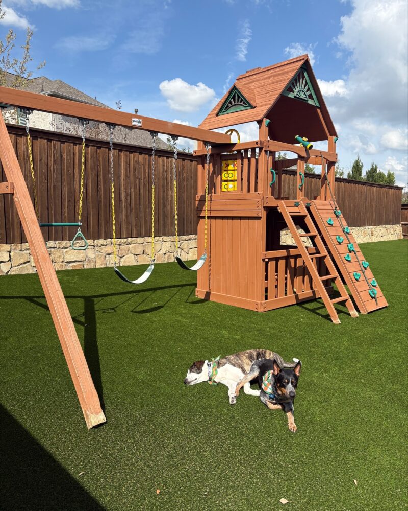 Creating a Safe Backyard Haven: Synthetic Grass for Kid-Friendly Play Creating a Safe Backyard Haven: Synthetic Grass for Kid-Friendly Play