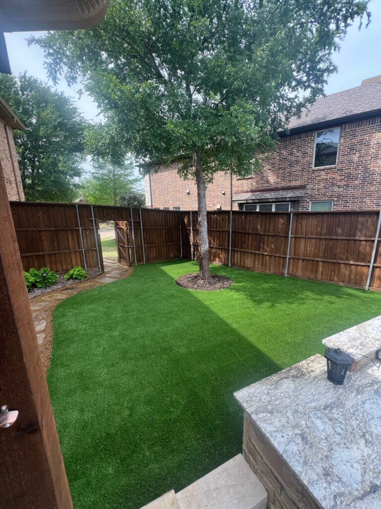 backyard