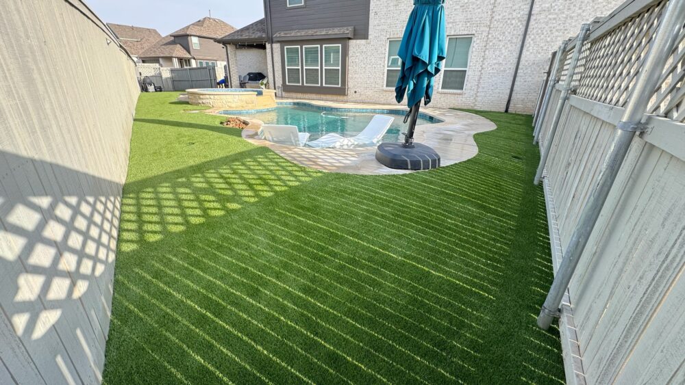backyard and pool