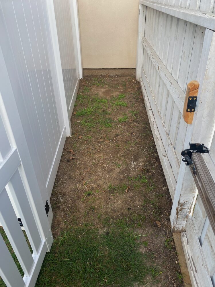 BEFORE