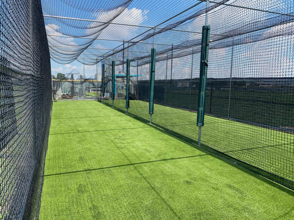 Batting cage turf